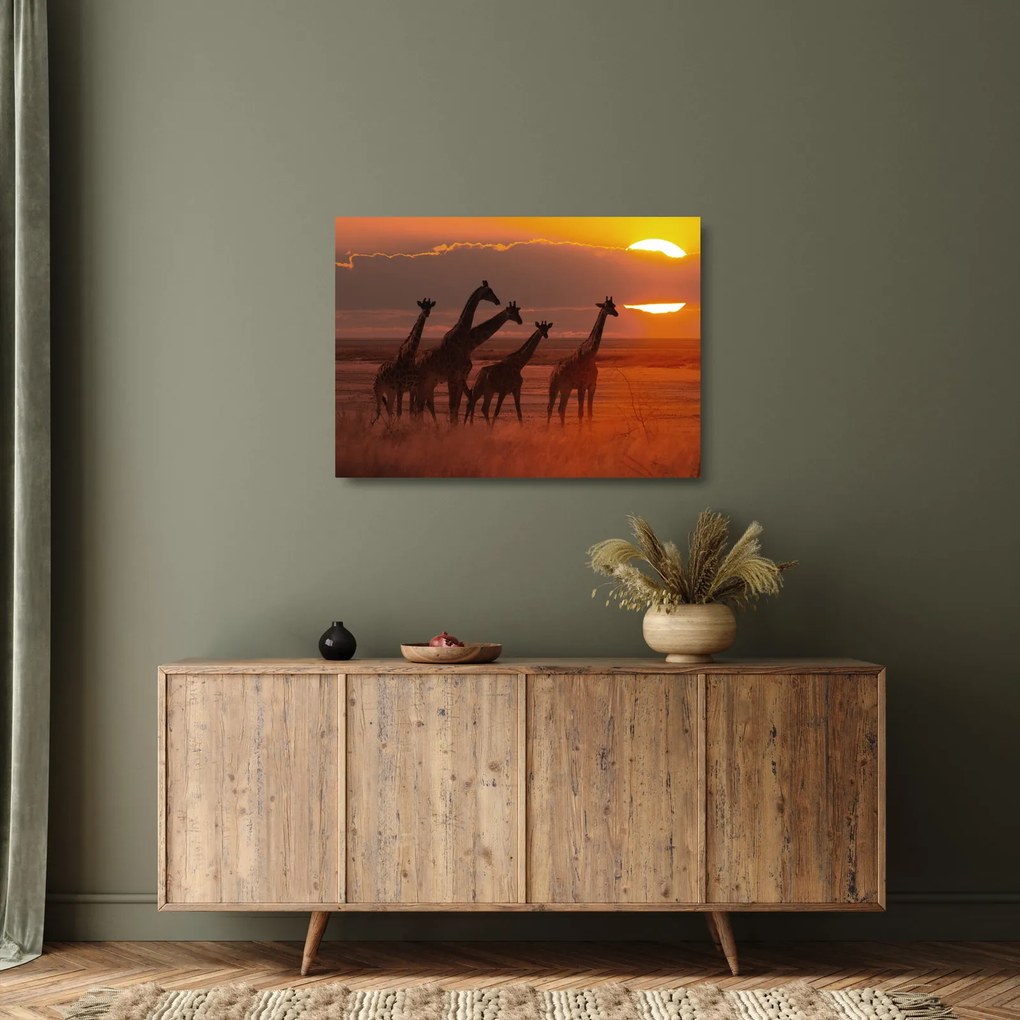 Sklenený obraz - Žirafy v africkej savane (70x50 cm)