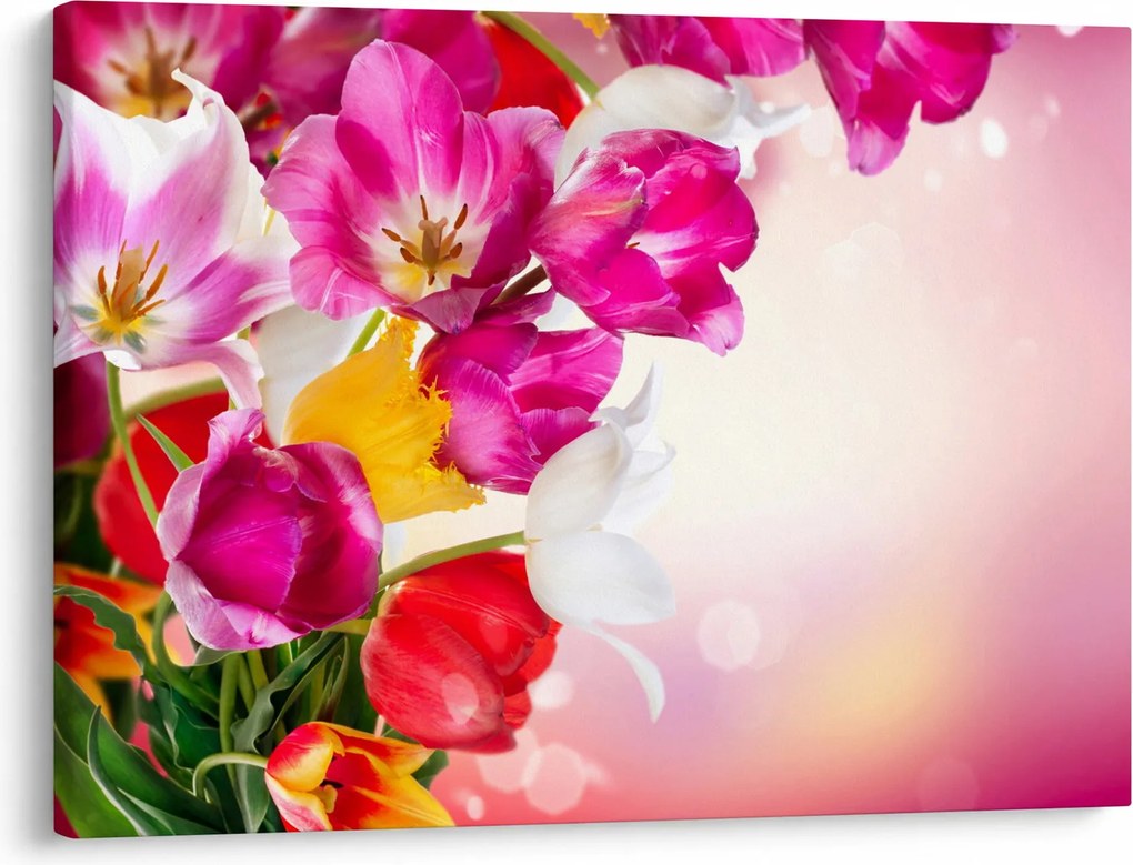 Obraz tulipánov (70x50 cm)