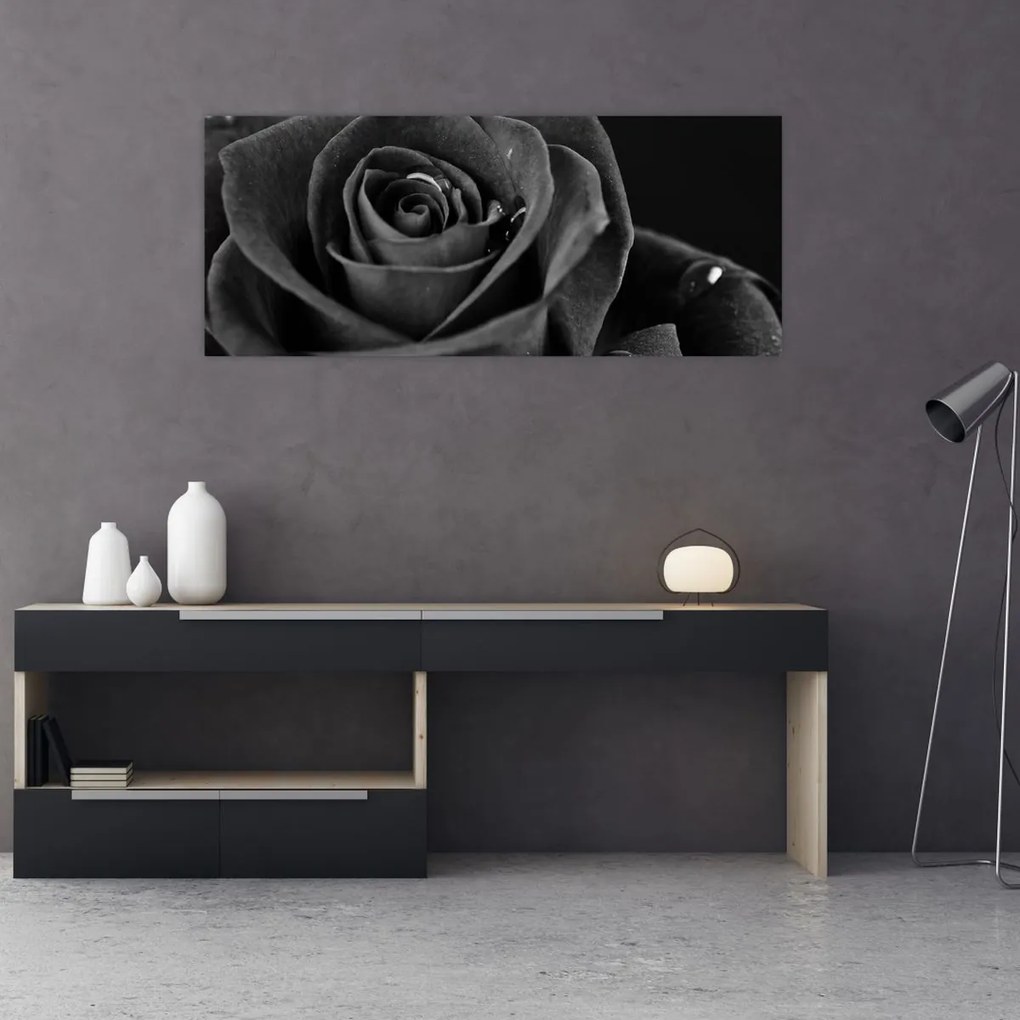 Obraz - Červená ruža (120x50 cm)
