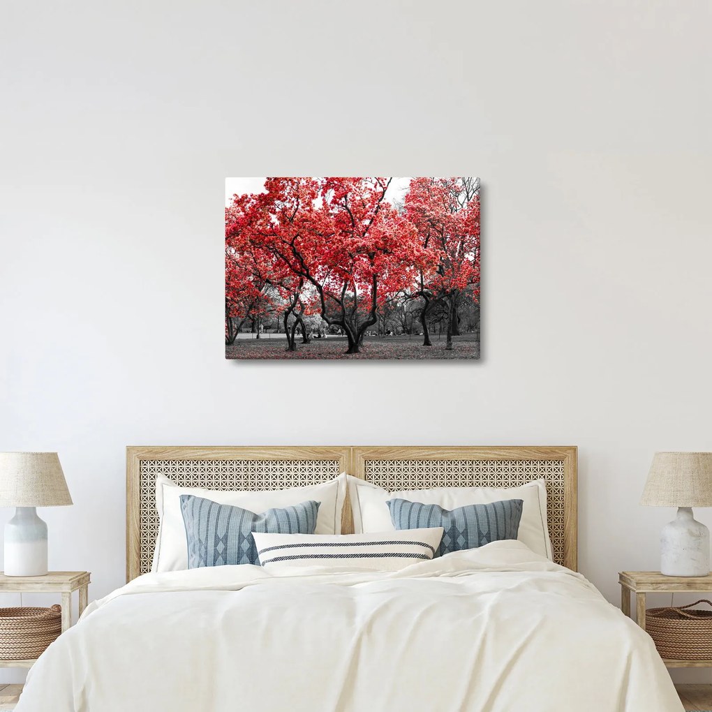 Obraz - Červené stromy, Central Park, New York (70x50 cm)
