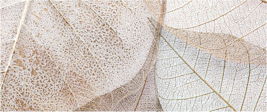 Obraz - Béžové listy (120x50 cm)