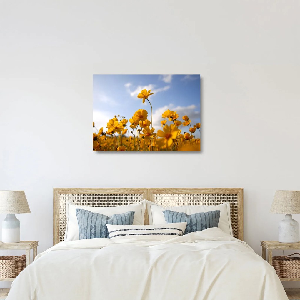 Sklenený obraz poľa s jasne žltými kvetmi (70x50 cm)