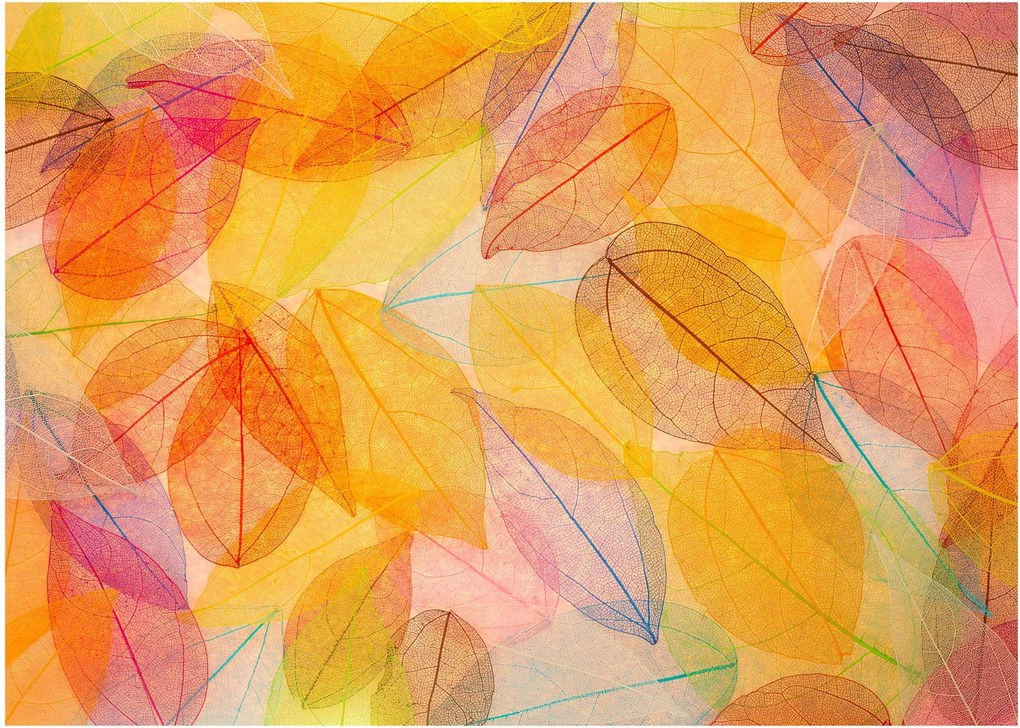 Sklenený obraz - Pozadie z jesenného lístia (70x50 cm)
