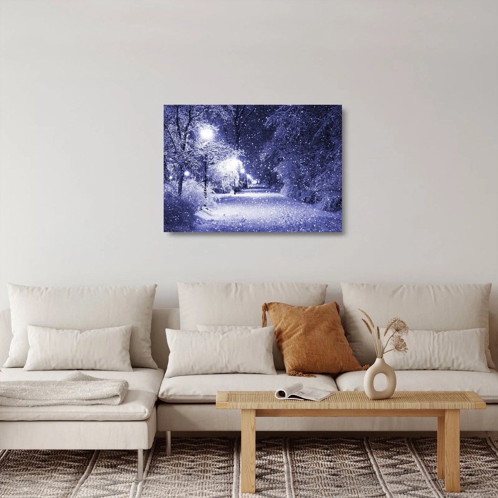 Sklenený obraz - Čarovná zimná noc (70x50 cm)