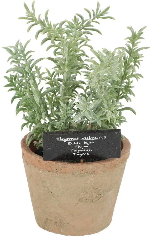 Umelá rastlina (výška 21,5 cm) Thyme – Esschert Design