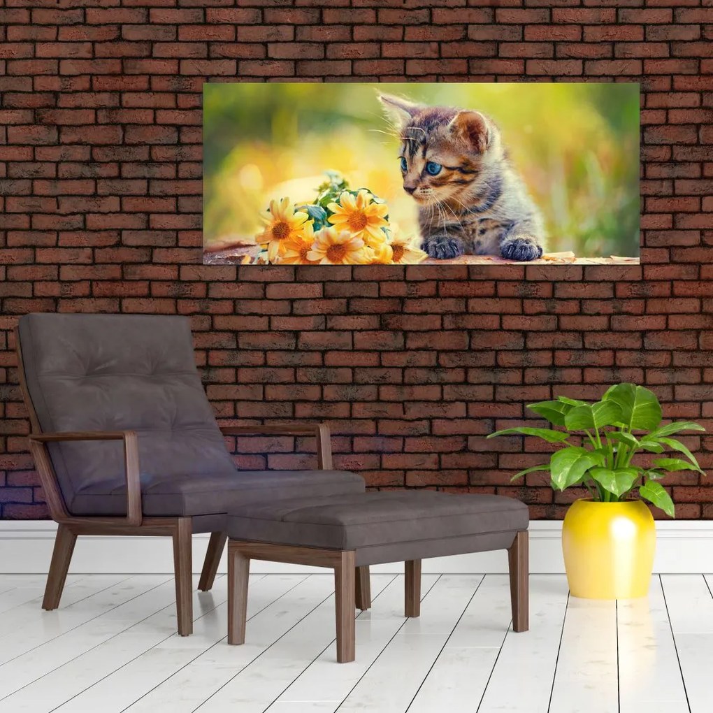 Obraz mačiatka pozerajúce sa na kvetinu (120x50 cm)