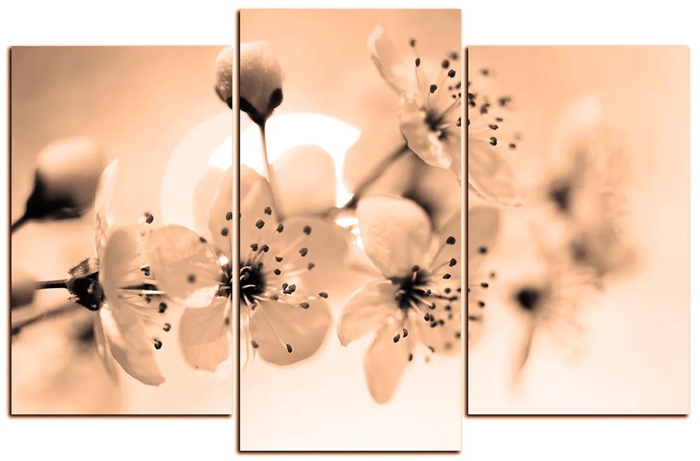 Obraz na plátne - Malé kvety na vetve 1173FC (120x80 cm)