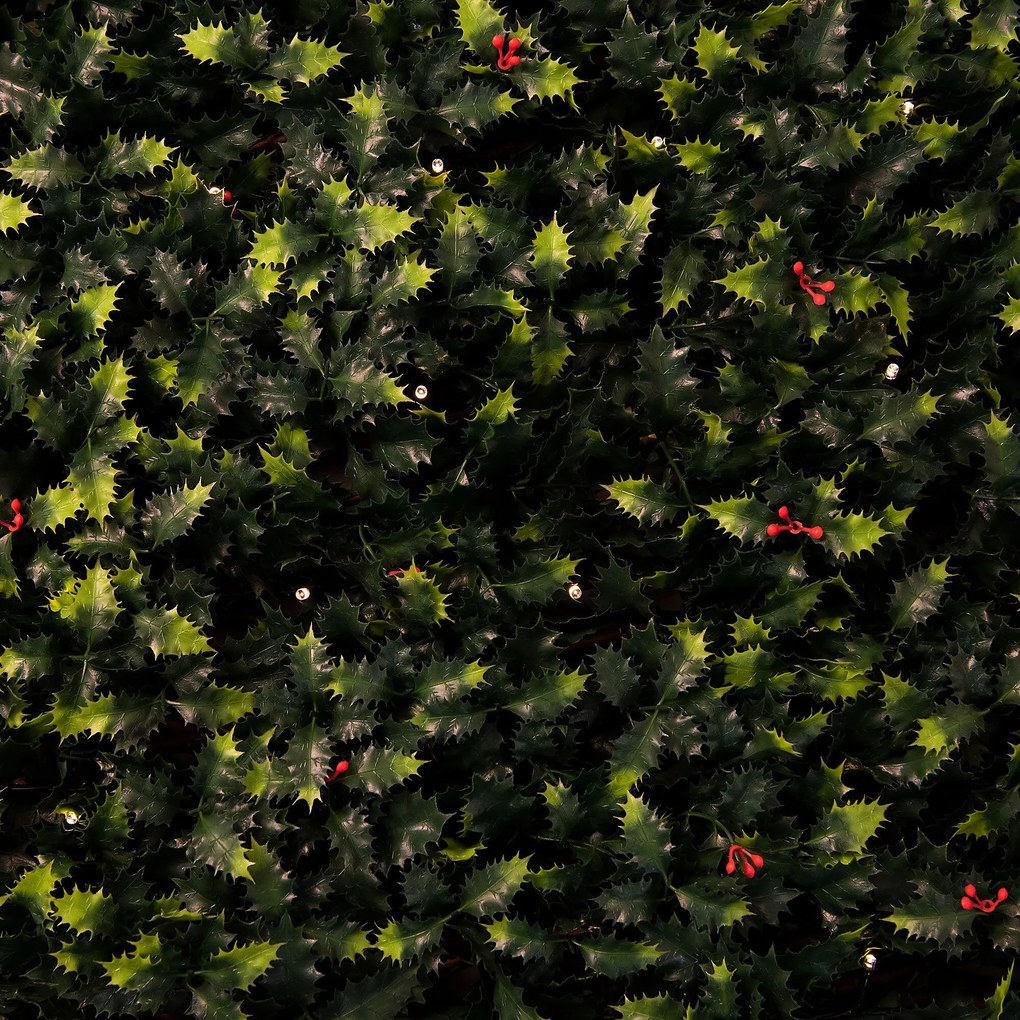 Umelý živý plot/zástena z umelých cesmínových listov s osvetlením BestBerg / 2 x 1 m / 100 LED
