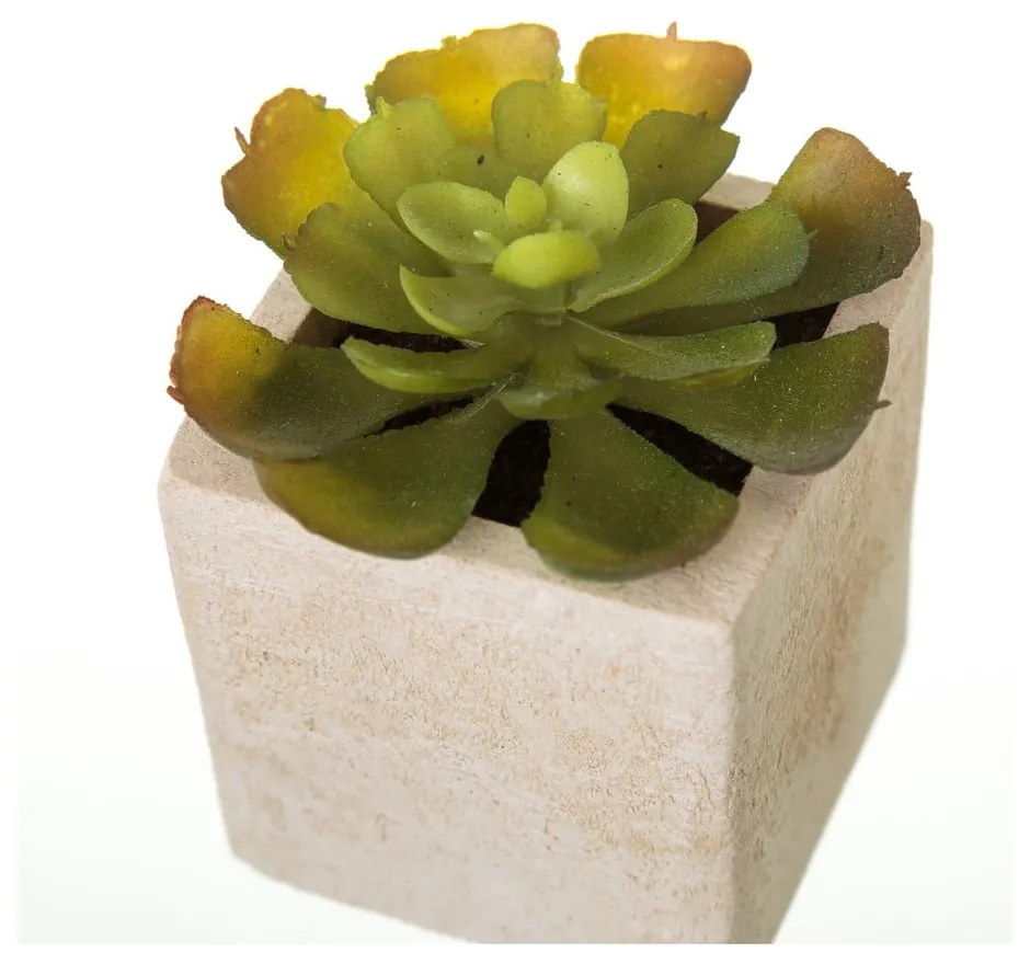 Umelé rastliny v súprave 6 ks (výška 9,5 cm) Cactus – Casa Selección