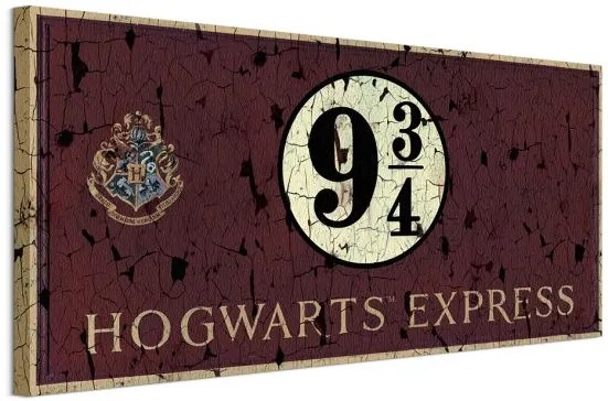 Obraz na plátne Harry Potter (Hogwarts Express) 100x50cm WDC93150