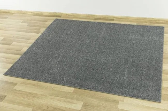 Koberec Forest 76 sivý