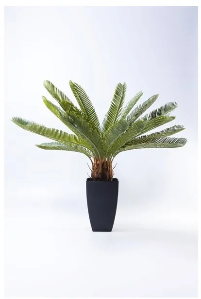 KARE DESIGN Sada 2 ks − Dekoratívna rastlina Cycas Tree 78 cm 78 × 40 × 20 cm