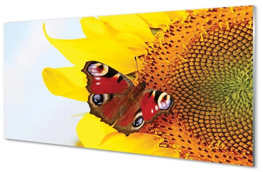 Sklenený obraz slnečnica motýľ 120x60 cm