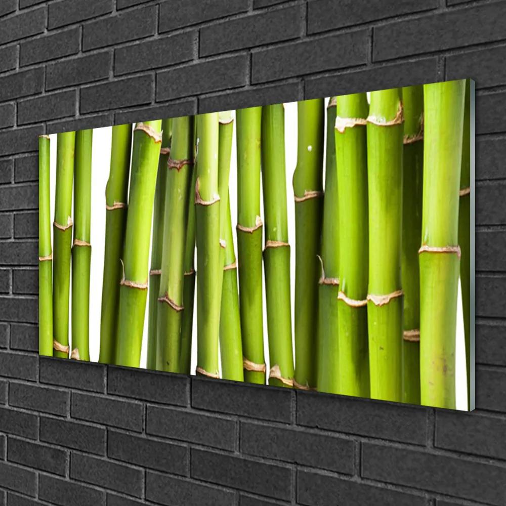 Skleneny obraz Bambus rastlina príroda 120x60 cm