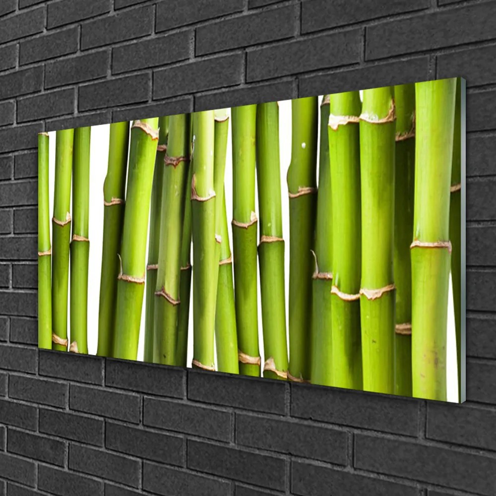 Skleneny obraz Bambus rastlina príroda 125x50 cm