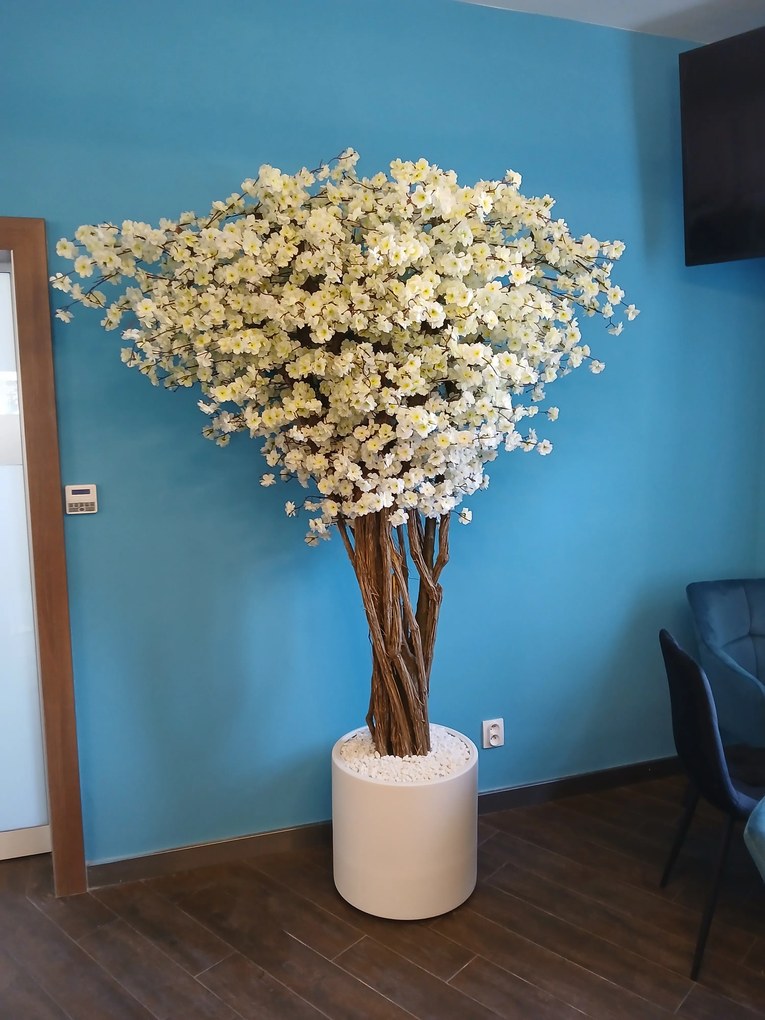 Kvitnúca jabloň viackmenná 180cm