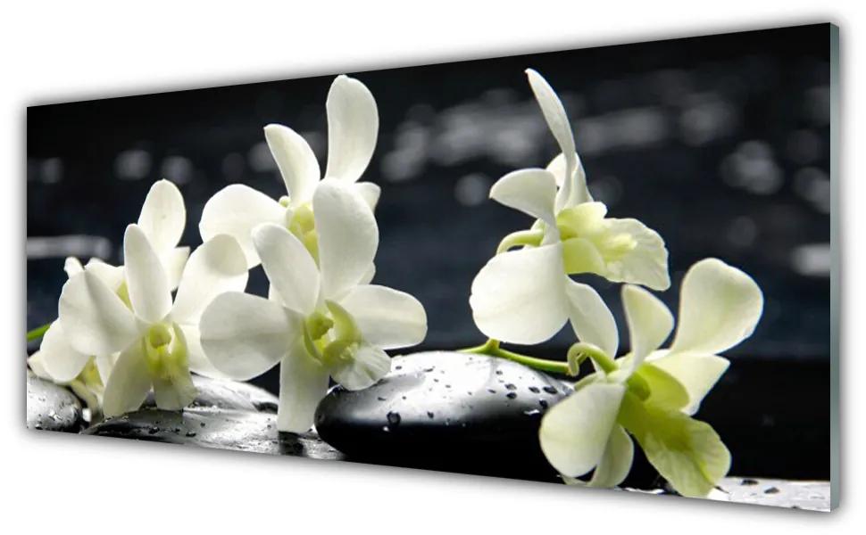 Obraz plexi Kvet kamene rastlina 125x50 cm