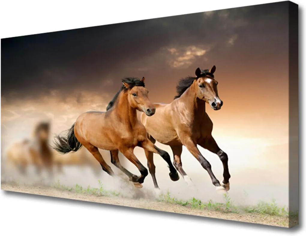 Obraz na plátně Skleněný koně zvířata