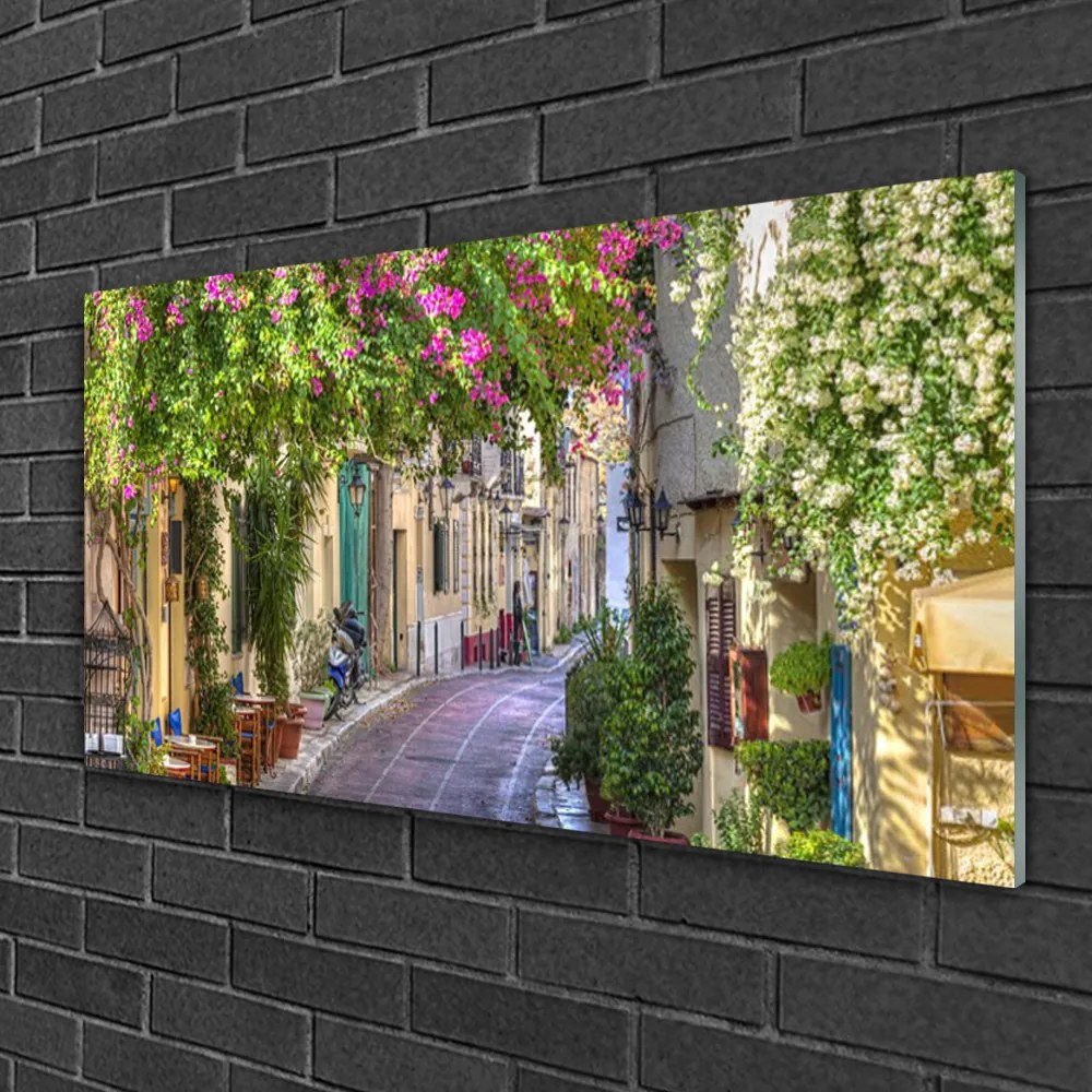 Skleneny obraz Aleje kvety domy rastlina 120x60 cm
