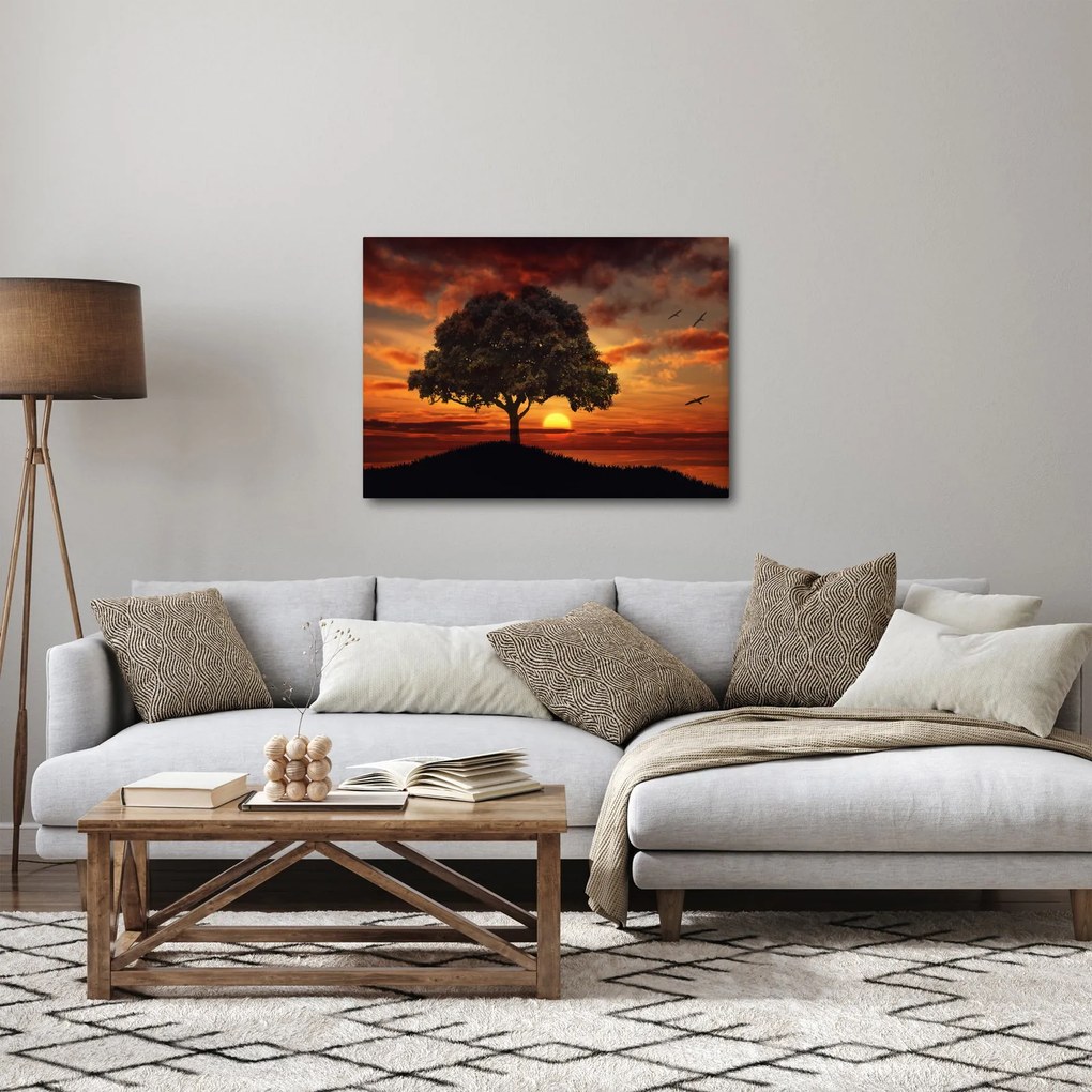 Obraz stromu pri západe slnka (70x50 cm)