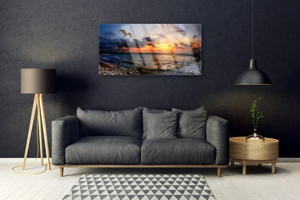 Obraz na akrylátovom skle Čajka more pláž krajina 100x50 cm