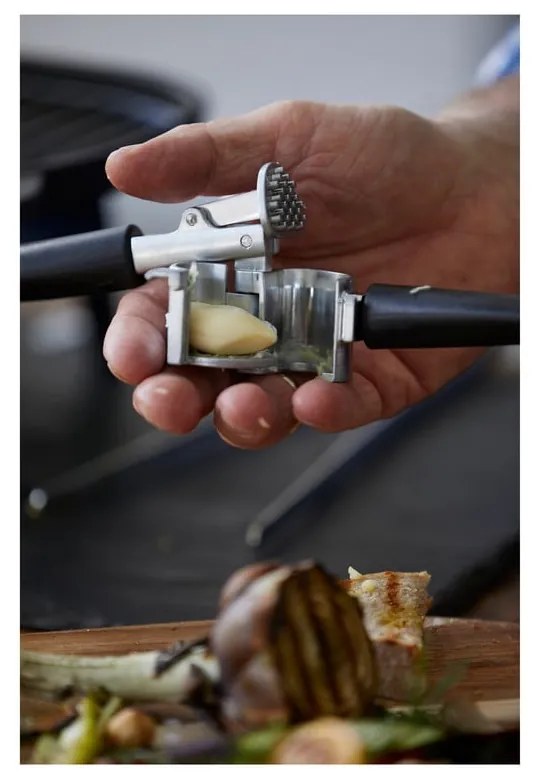 Kuchynský lis - Holm