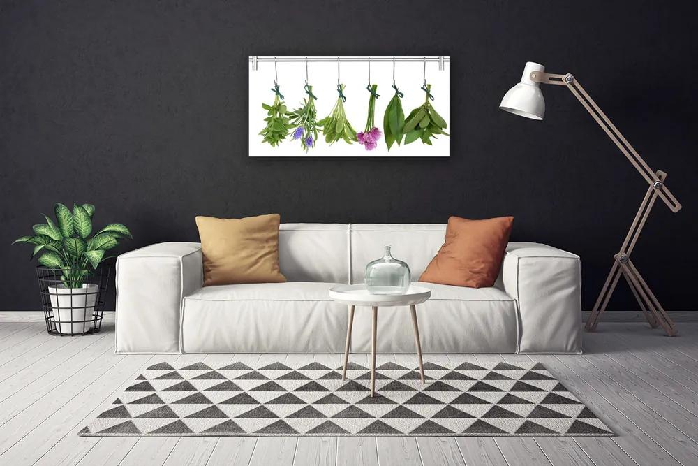 Obraz Canvas Sušené byliny listy kvety 140x70 cm