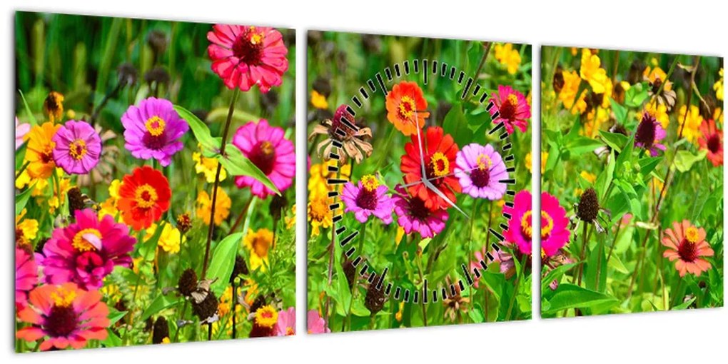 Obraz lúčnych kvetov (s hodinami) (90x30 cm)