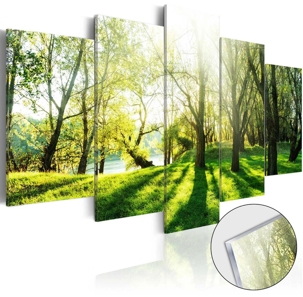 Artgeist Obraz na akrylátovom skle - Green Glade [Glass] Veľkosť: 100x50