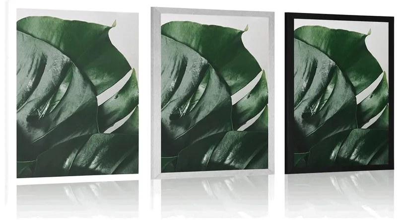 Plagát listy monstery - 40x60 silver