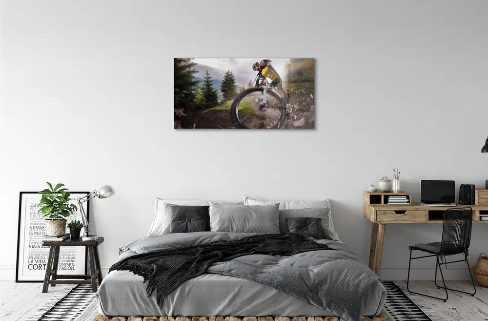 Obraz na skle Cloud na horskom bicykli 140x70 cm