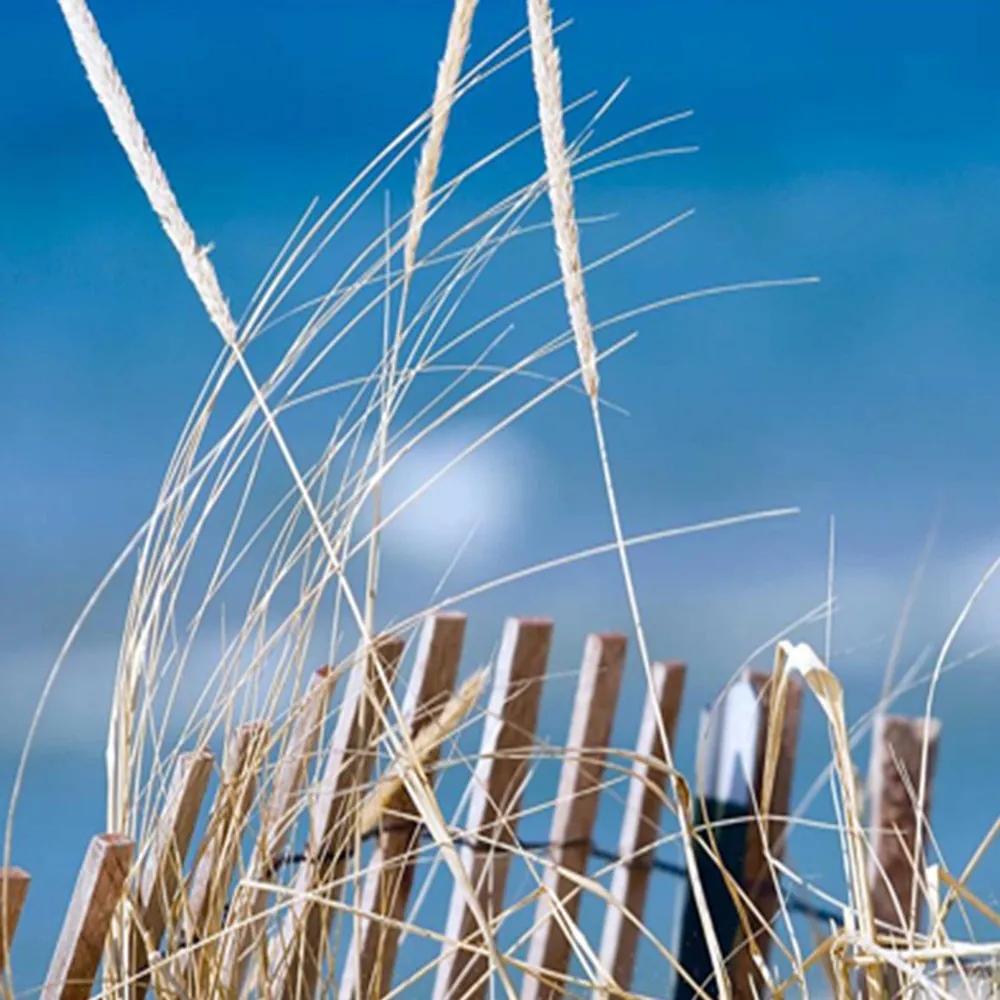 Ozdobný paraván Duny na mořské pláži - 180x170 cm, päťdielny, obojstranný paraván 360°