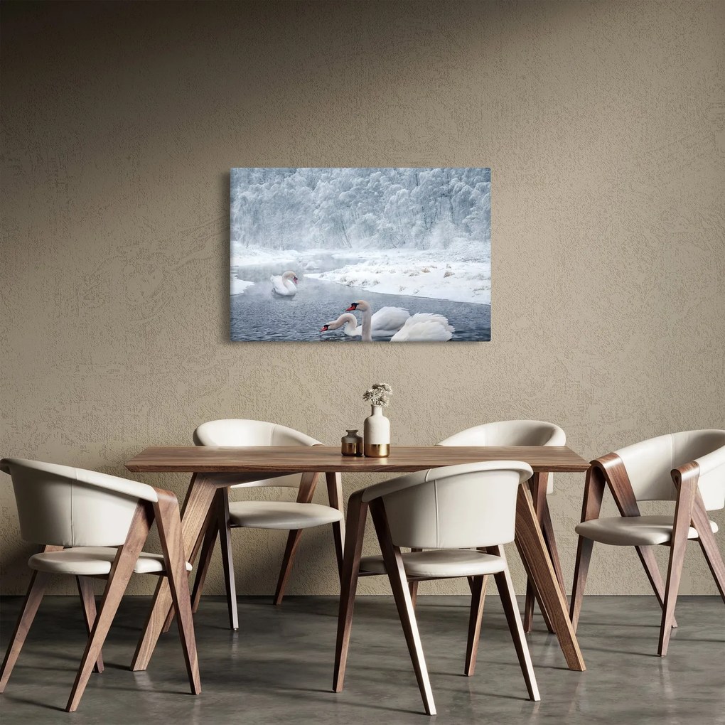 Obraz labutí (90x60 cm)