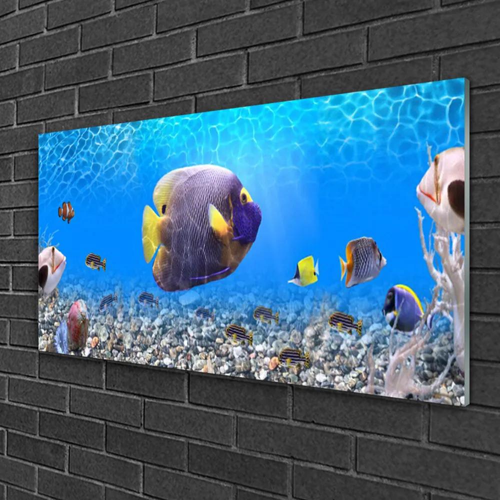 Obraz na skle Ryba príroda 120x60 cm