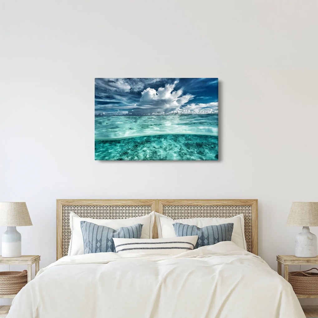 Obraz - Pohľad pod morskú hladinu (90x60 cm)
