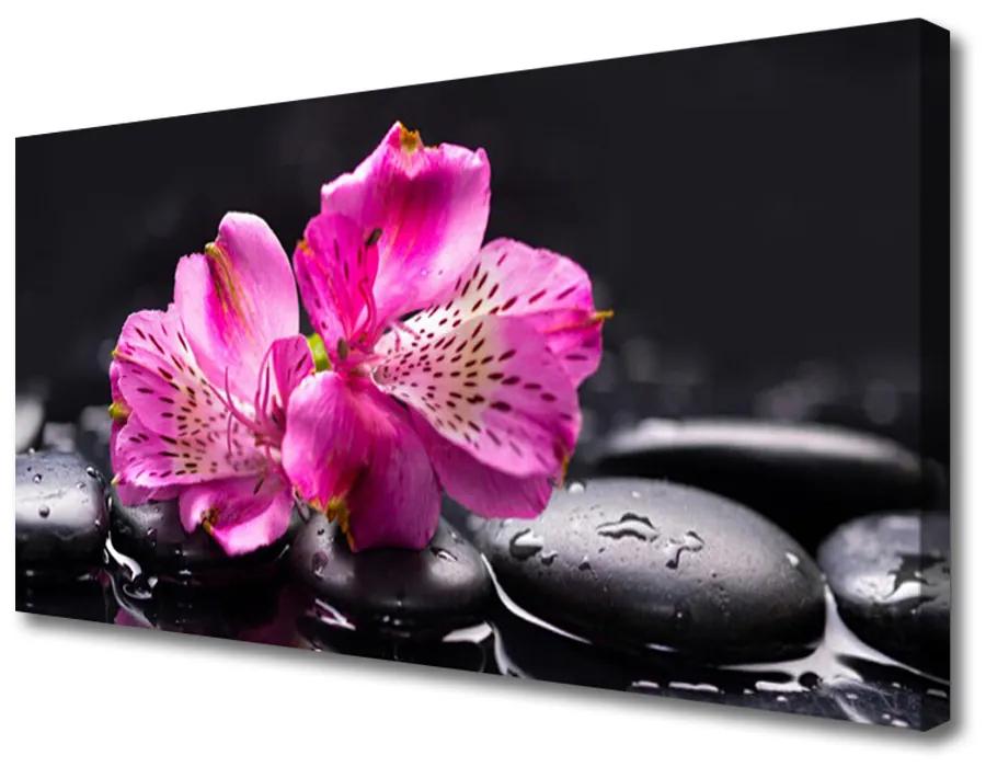 Obraz Canvas Kvety kamene zen kúpele 125x50 cm