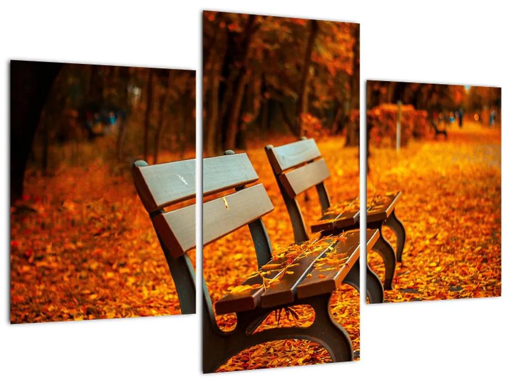 Obraz lavičky v jeseni (90x60 cm)