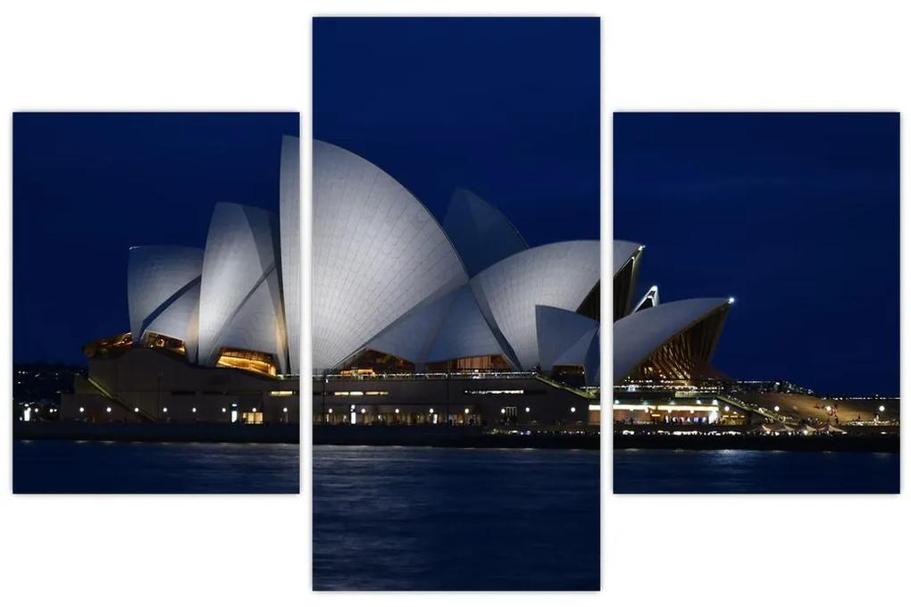 Obraz nočného Sydney (90x60 cm)