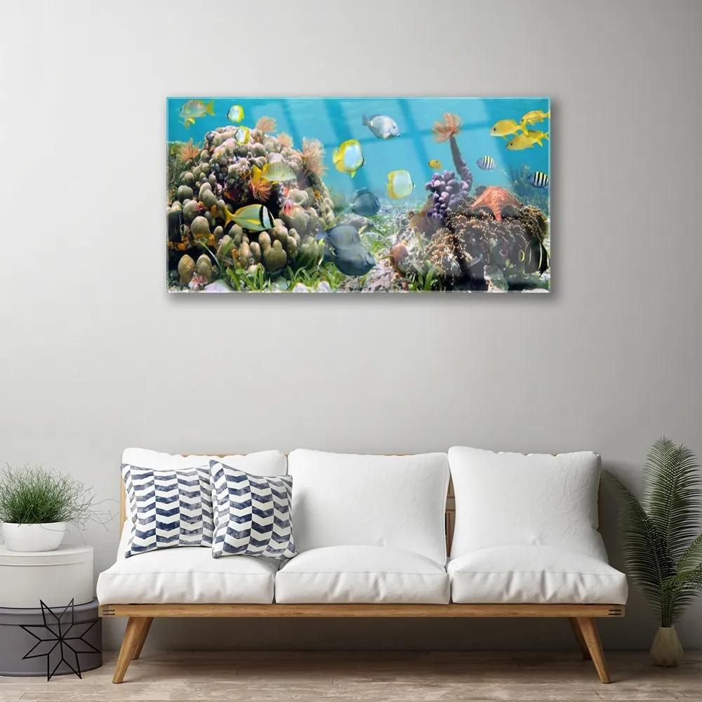 Obraz na skle Koralový útes príroda 100x50 cm