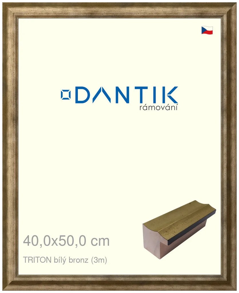 DANTIK rám na obraz 40x50 | TRITON bílý bronz (Sklo Čiré)