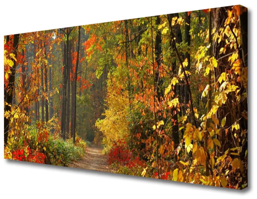 Obraz Canvas Les príroda jeseň 140x70 cm