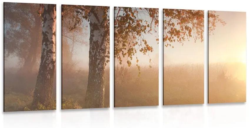 5-dielny obraz hmlistý jesenný les Varianta: 100x50