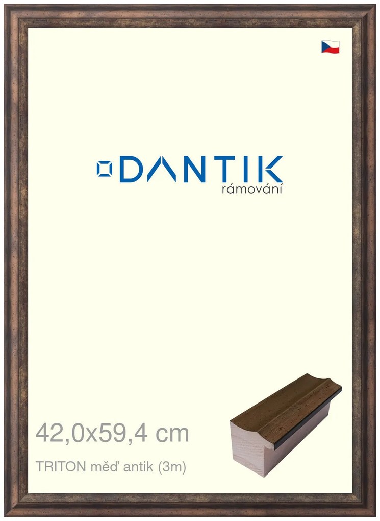 DANTIK rám na obraz 42x59,4 | TRITON měď antik (Plexi Čiré)