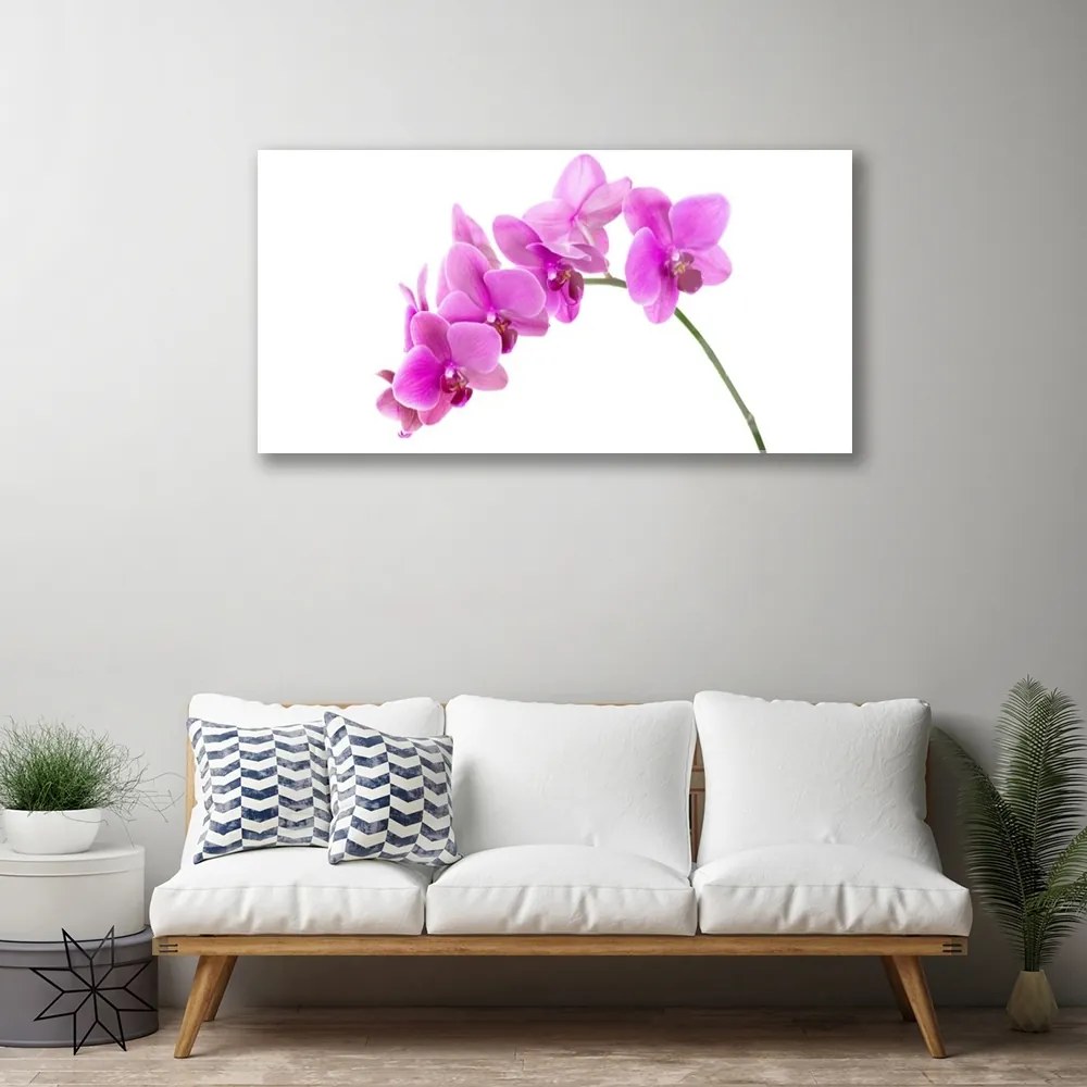 Skleneny obraz Vstavač kvet orchidea 100x50 cm