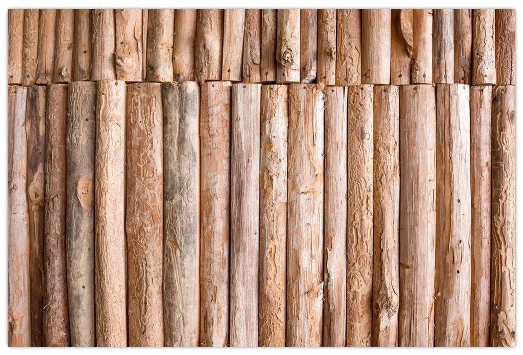 Obraz - Bambus (90x60 cm)