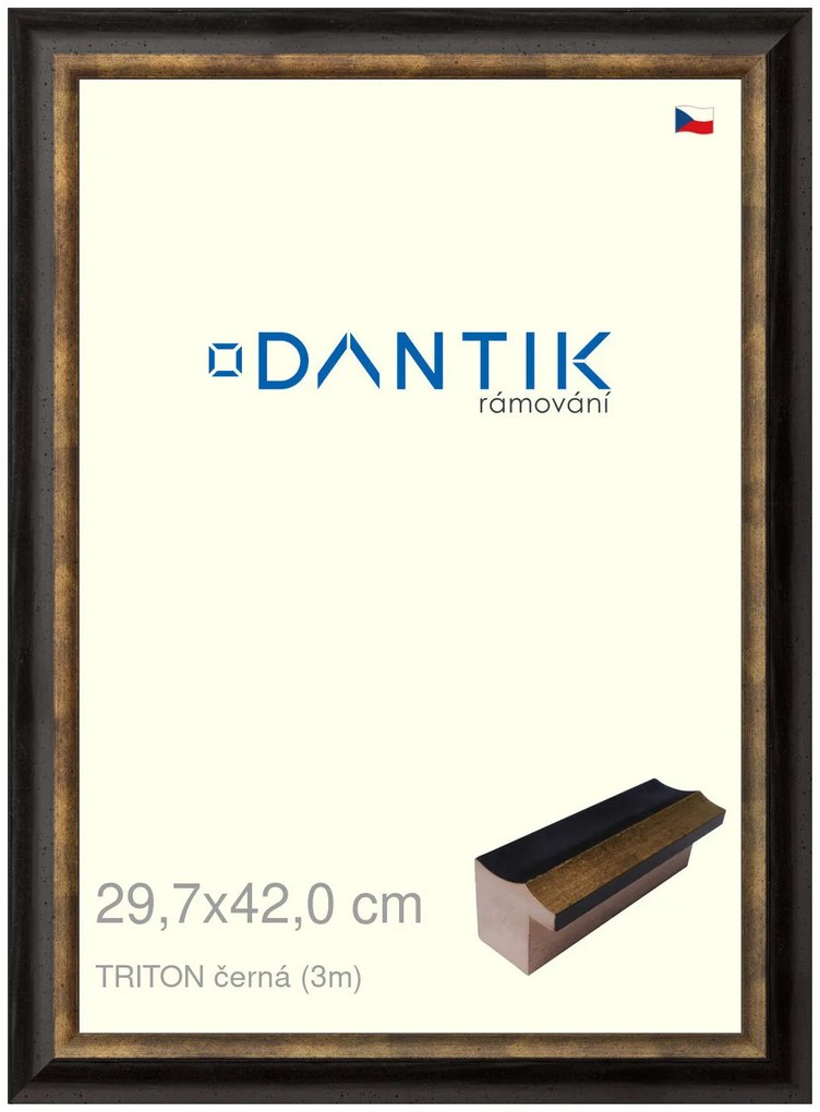 DANTIK rám na obraz 29,7x42 | TRITON černá (Plexi Čiré)