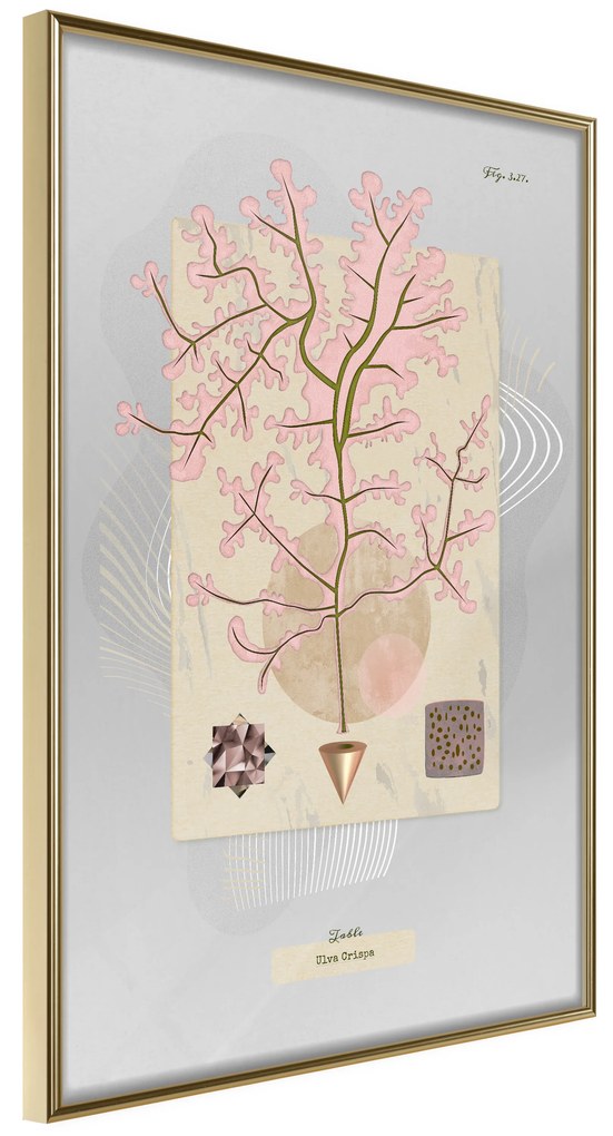 Artgeist Plagát - Mysterious Tree [Poster] Veľkosť: 40x60, Verzia: Zlatý rám