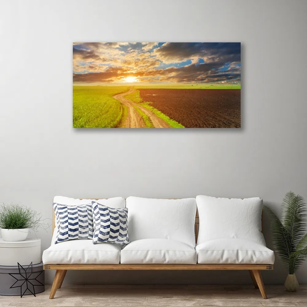 Obraz Canvas Pole nebo slnko príroda 120x60 cm