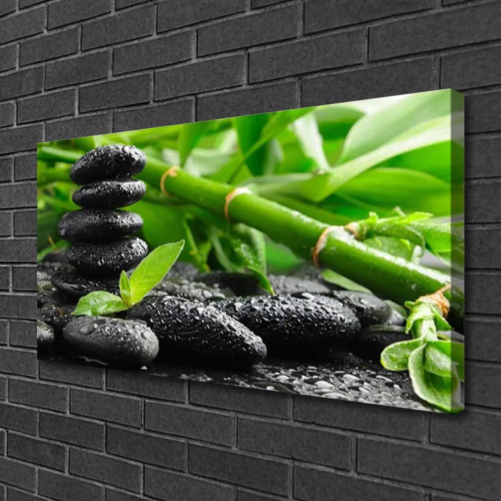 Obraz na plátne Bambus kamene rastlina 125x50 cm