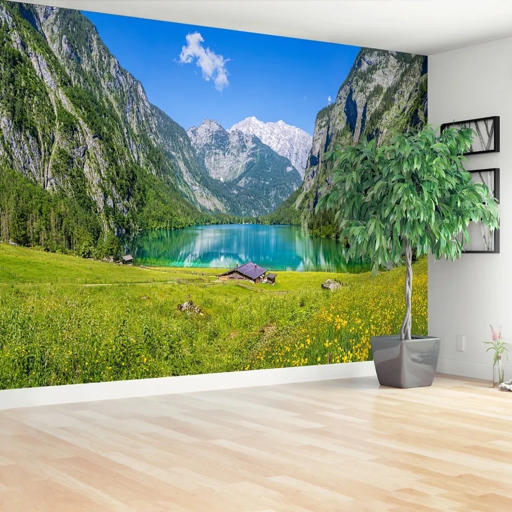 Fototapeta Vliesová Obersee königssee 208x146 cm